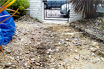 Click here to find out more about our work