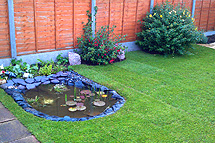 Click here to find out more about our work