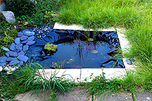 Click here to find out more about our work