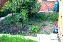 Click here to find out more about our work