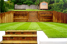 Click here to find out more about our work