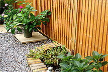 Click here to find out more about our work